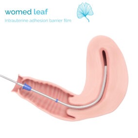 Animation 3D Womed Leaf